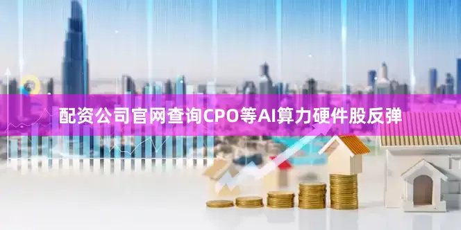 配资公司官网查询CPO等AI算力硬件股反弹