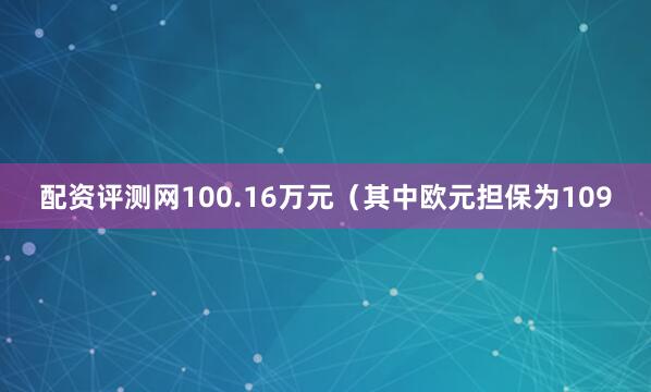 配资评测网100.16万元（其中欧元担保为109